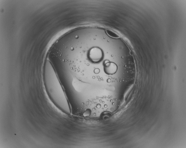 X0000083621239200702260945