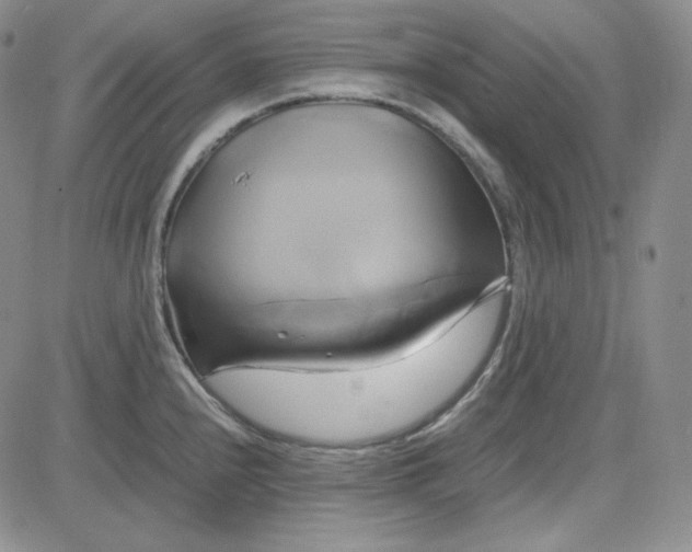 X0000083621240200702260945