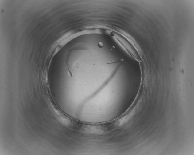 X0000083621241200702260945