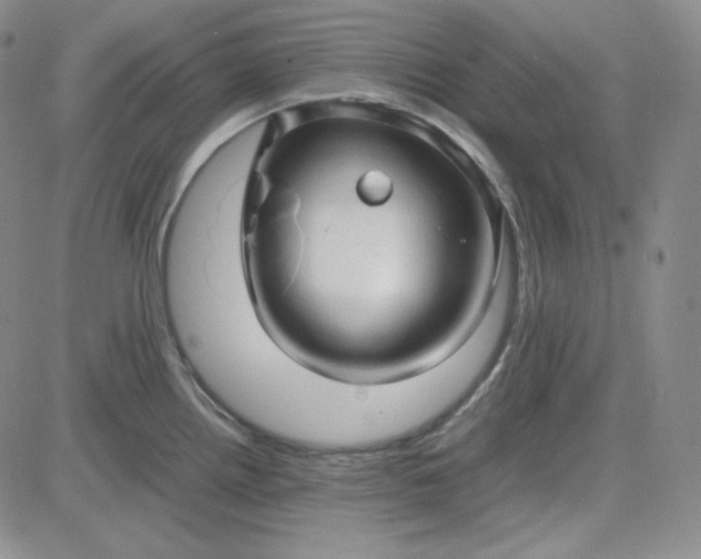 X0000083621242200702260945