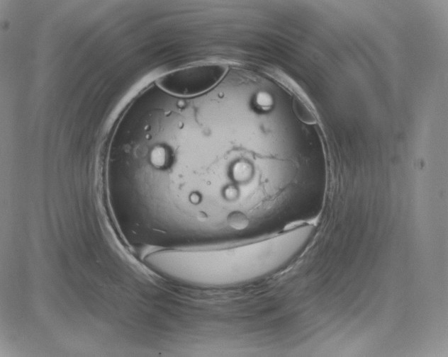 X0000083621243200702260945