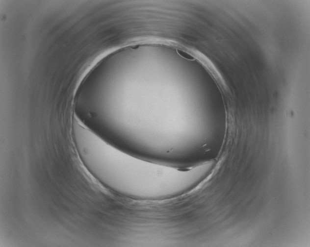 X0000083621244200702260945