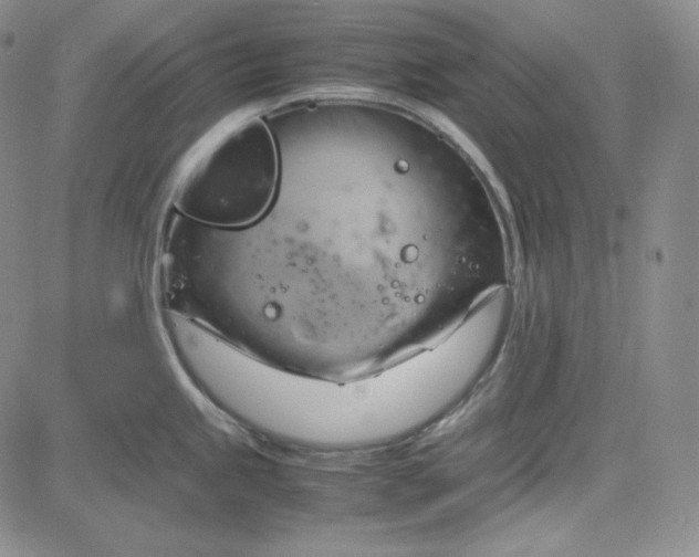 X0000083621245200702260945