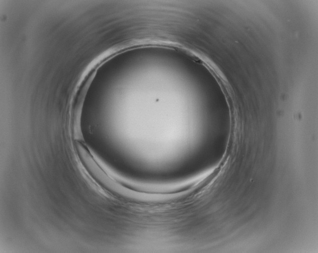 X0000083621246200702260945