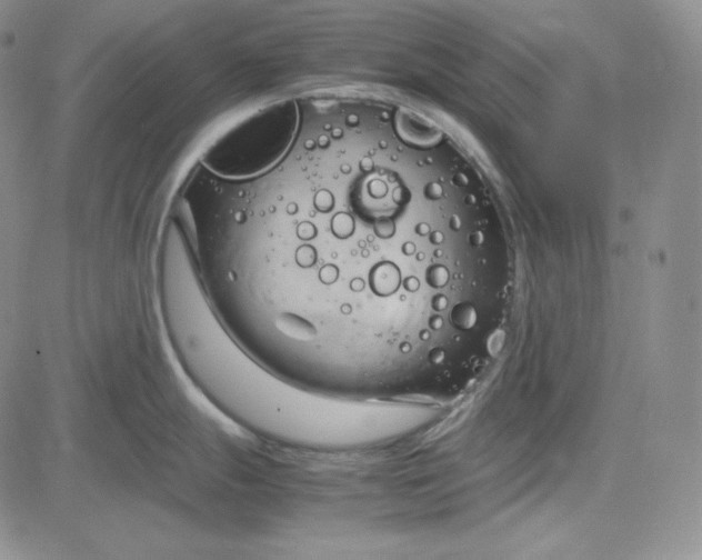 X0000083621247200702260945