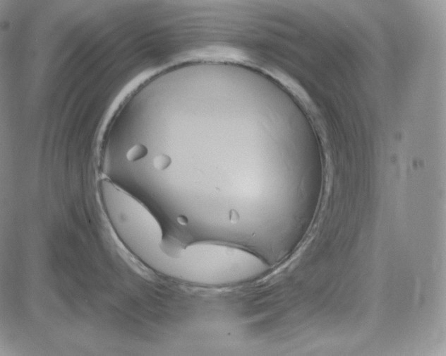 X0000083621248200702260945