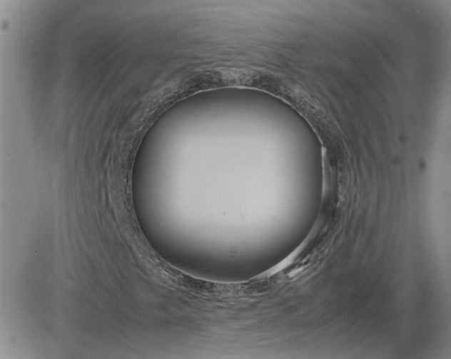 X0000083621249200702260944