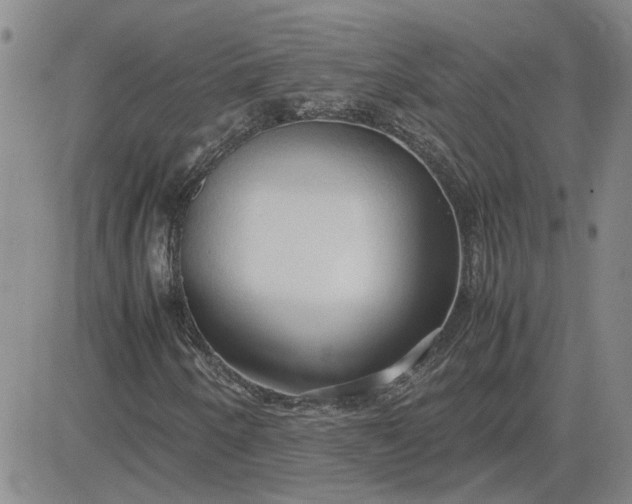 X0000083621250200702260944