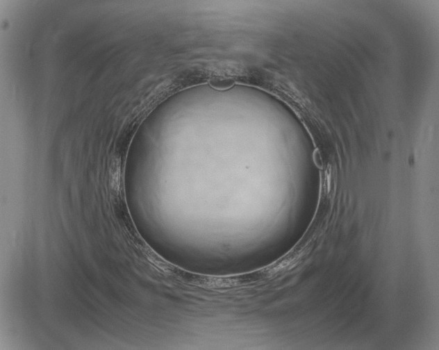 X0000083621251200702260944