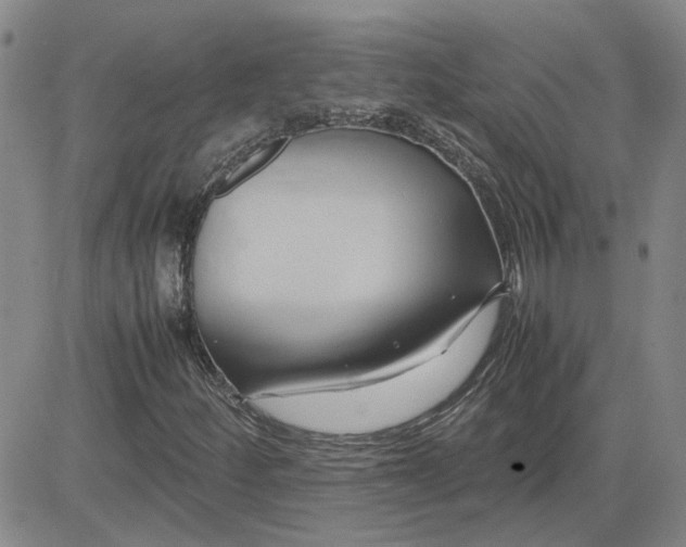 X0000083621252200702260944