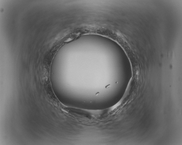 X0000083621253200702260944