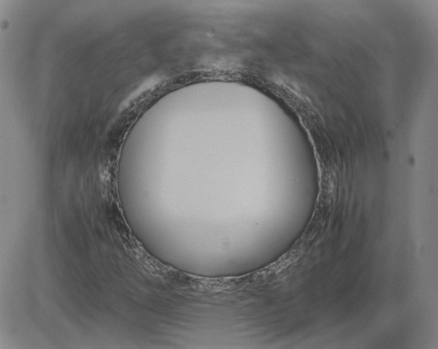 X0000083621254200702260944