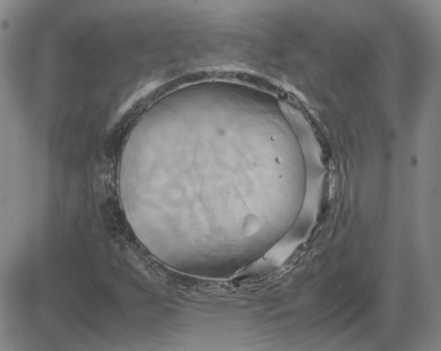 X0000083621255200702260944