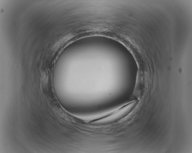 X0000083621257200702260944