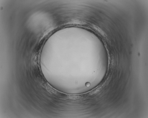 X0000083621258200702260944