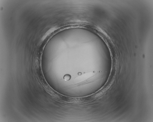 X0000083621259200702260944