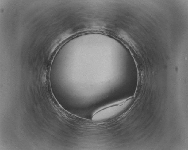 X0000083621260200702260944