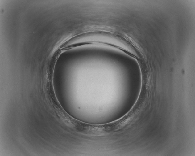 X0000083621261200702260944