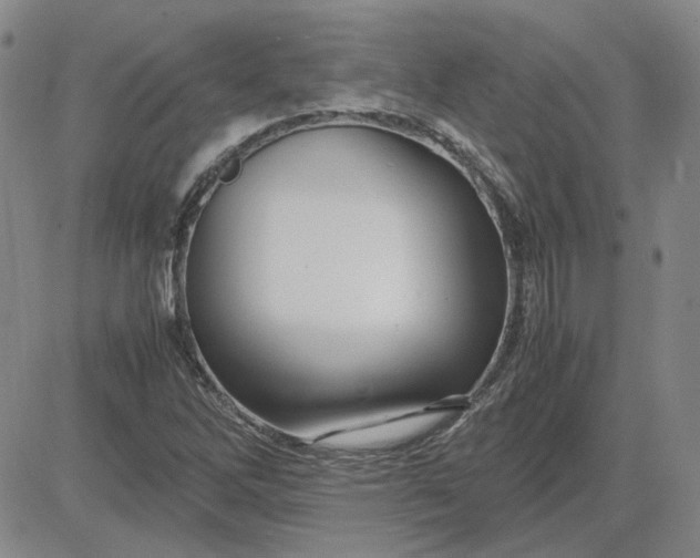 X0000083621262200702260944