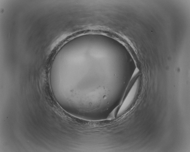 X0000083621263200702260944