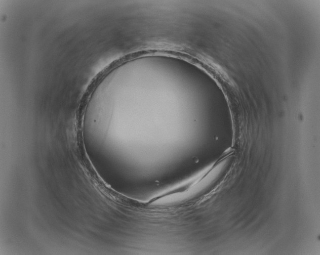 X0000083621264200702260944