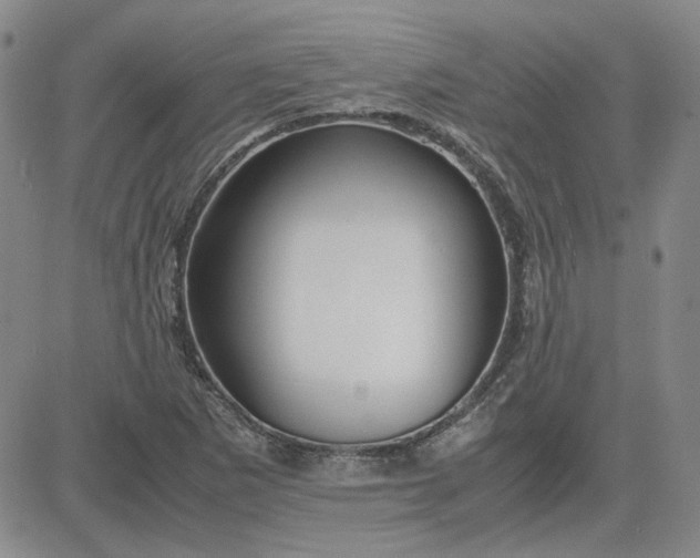 X0000083621265200702260944