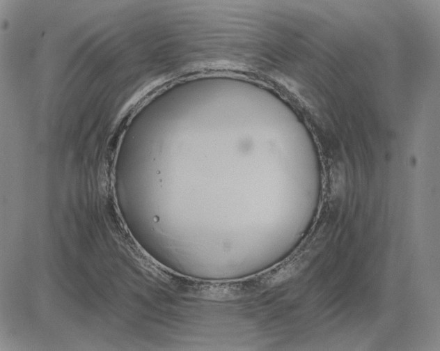 X0000083621266200702260944