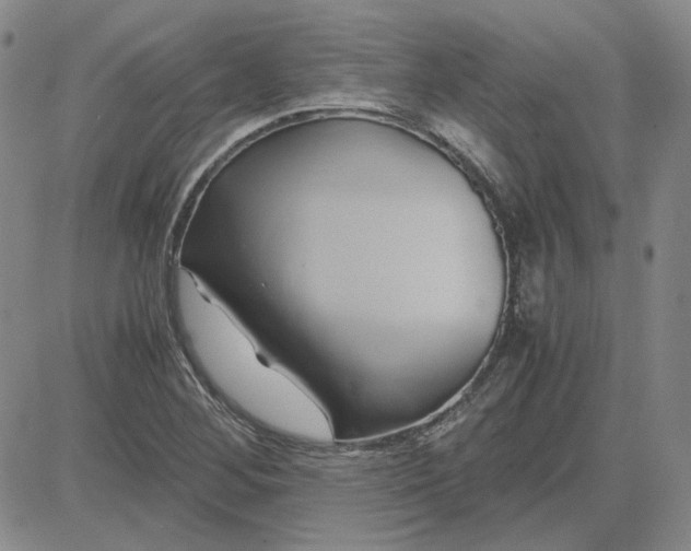 X0000083621268200702260944