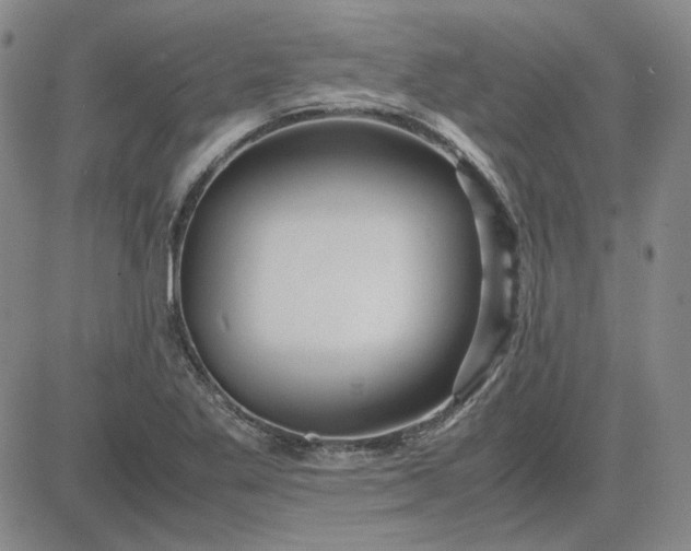 X0000083621269200702260944