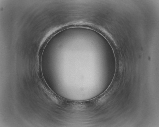 X0000083621270200702260944