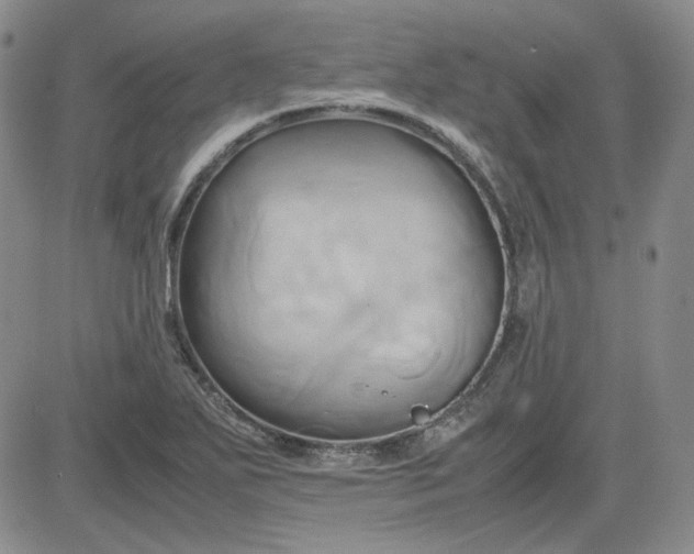 X0000083621271200702260944