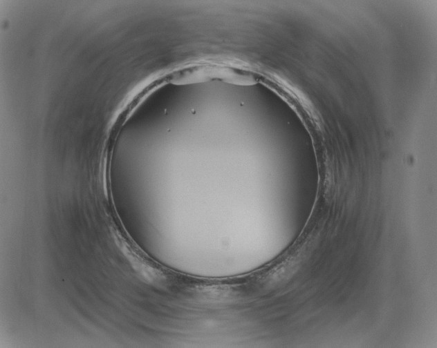 X0000083621272200702260944