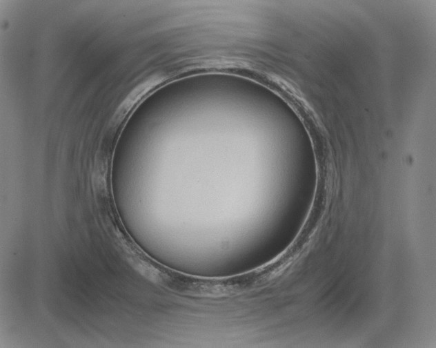 X0000083621273200702260944