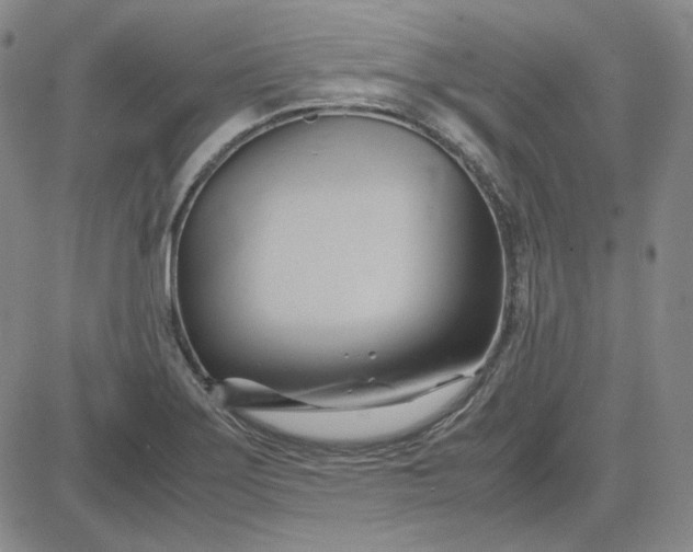 X0000083621275200702260944