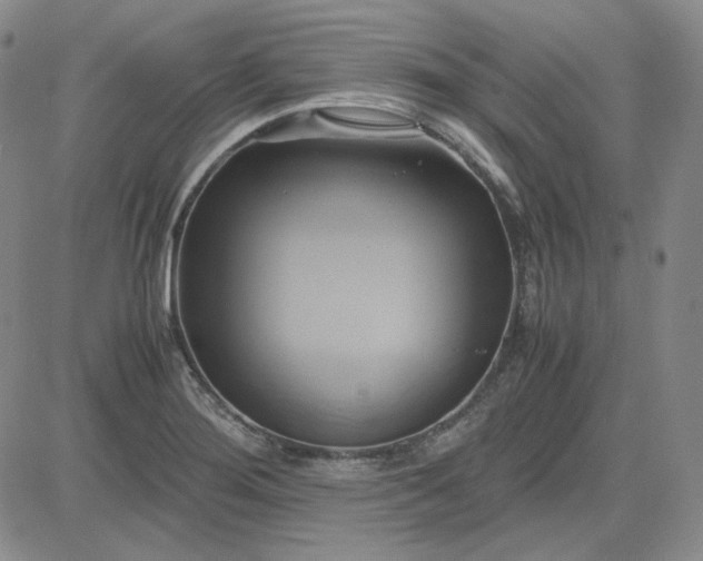 X0000083621276200702260944