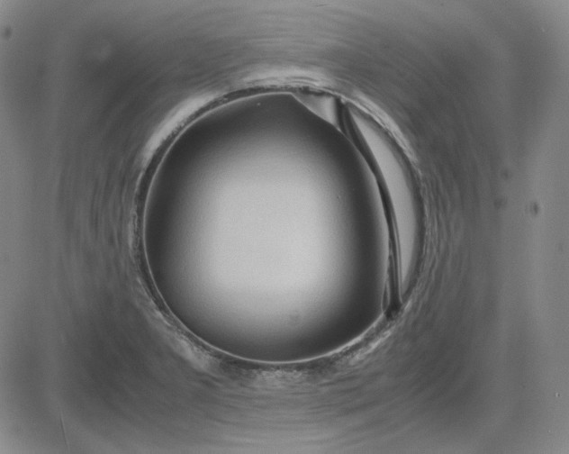 X0000083621277200702260944