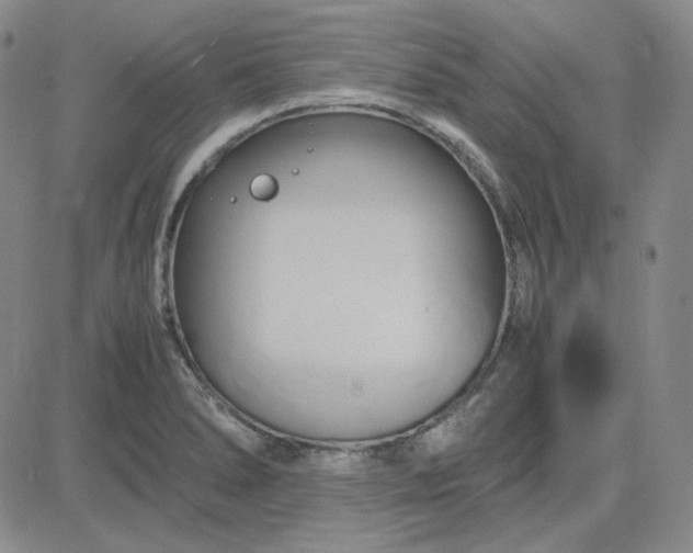 X0000083621278200702260944