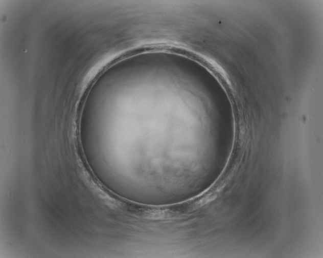 X0000083621279200702260944