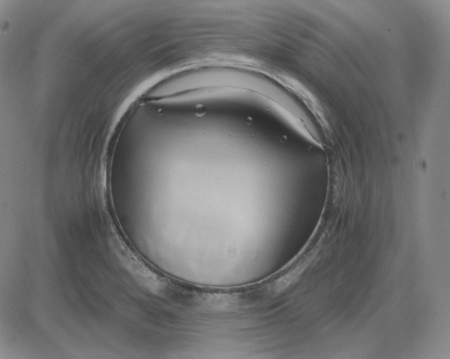 X0000083621280200702260944