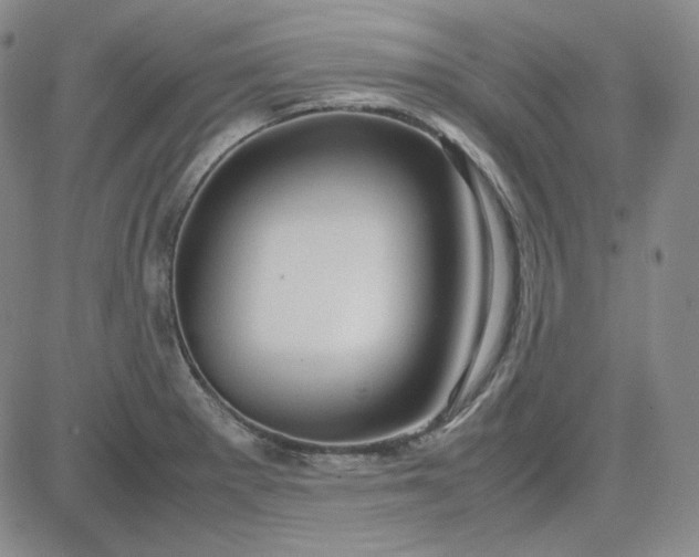 X0000083621281200702260944