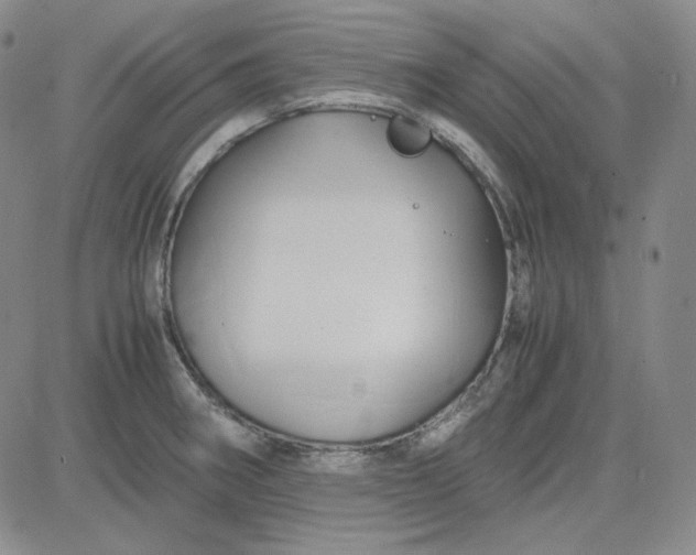 X0000083621282200702260944