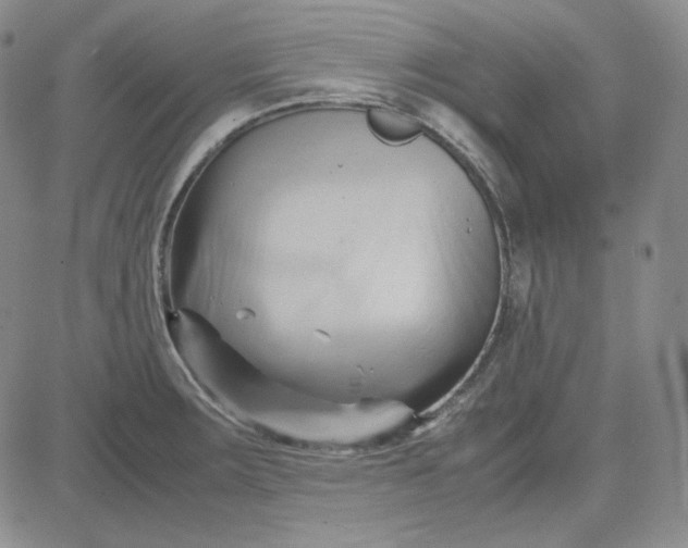 X0000083621283200702260944