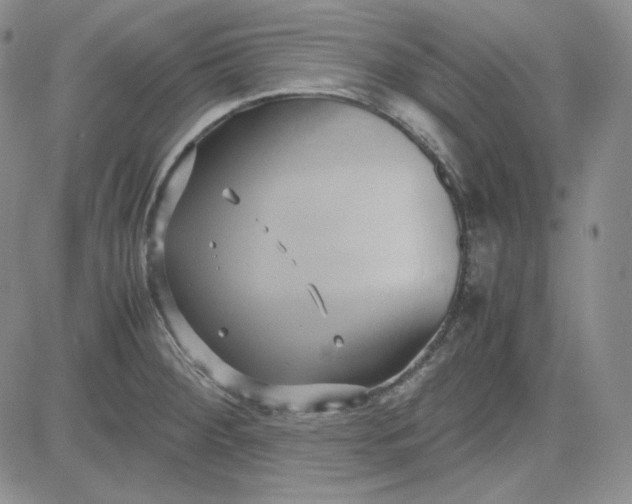 X0000083621284200702260944