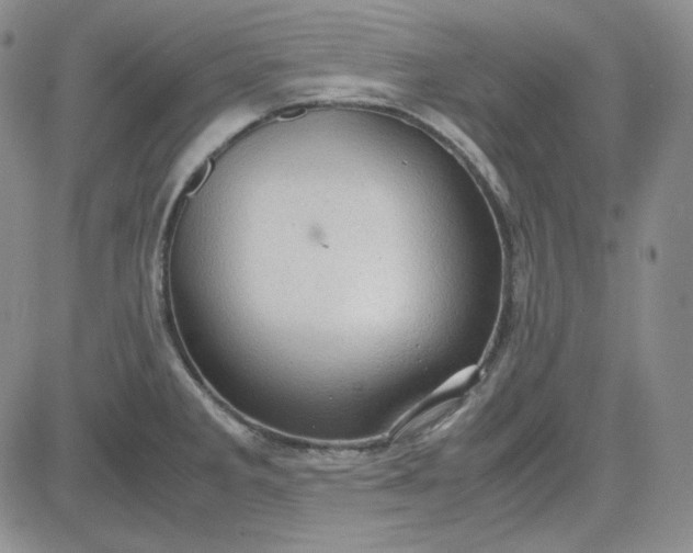 X0000083621285200702260944