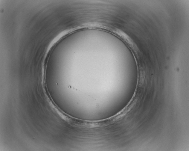 X0000083621286200702260944