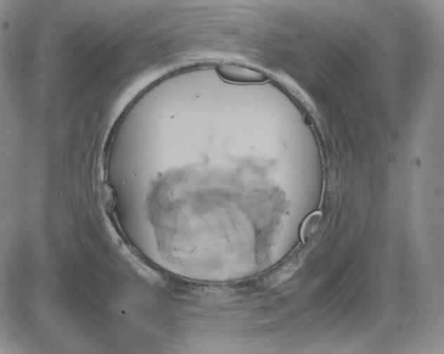 X0000083621287200702260944