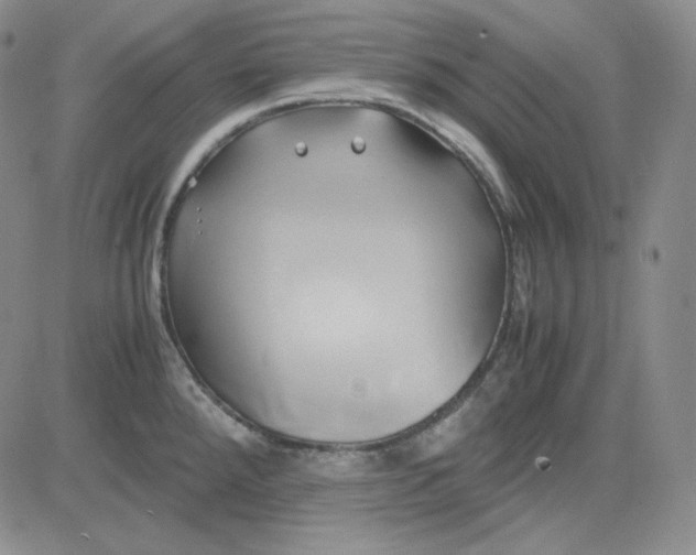 X0000083621288200702260944