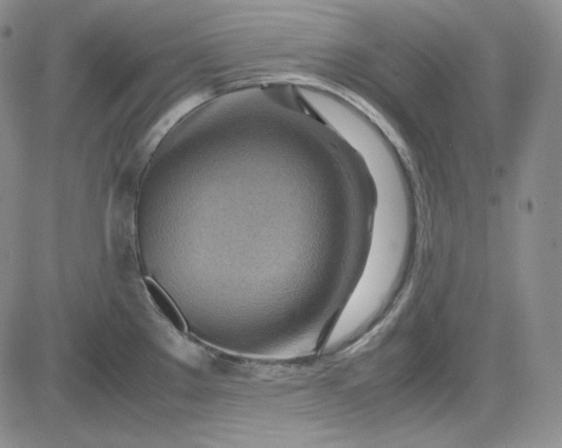 X0000083621289200702260944