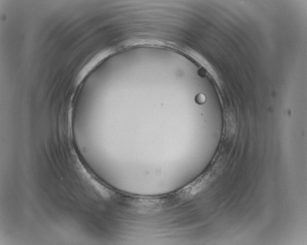 X0000083621290200702260944