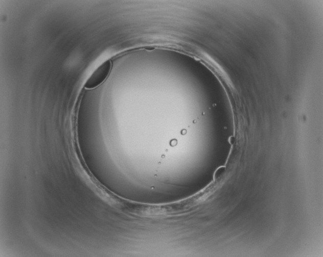 X0000083621291200702260944